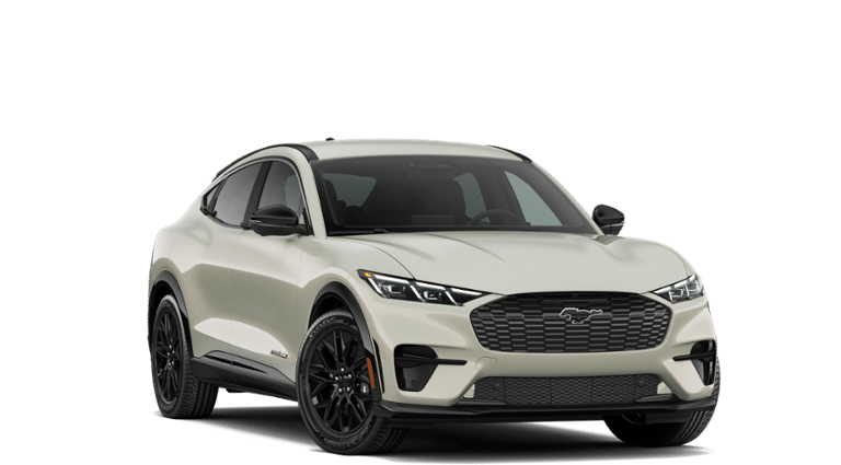 Mustang Mach-E® vehicle